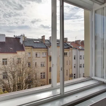 Sunny Vinohrady
